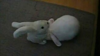 Озабоченная игрушка-ушастик - смотреть видео (0:37)