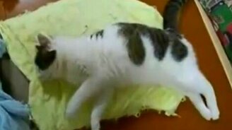 Бегущая во сне - смотреть видео (2:31)