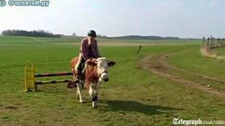 Корова Луна - смотреть видео (0:51)