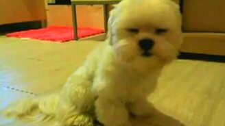 Уснул сидя - смотреть видео (0:50)