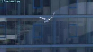 Искусственная птица - смотреть видео (1:48)