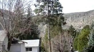 Свалил дерево на дом - смотреть видео (0:20)