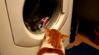 Помощник по хозяйству - смотреть видео (0:42)