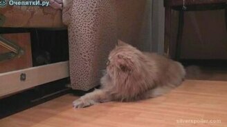 Не вылазить! - смотреть видео (0:20)