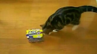 Диетические трюки - смотреть видео (1:32)