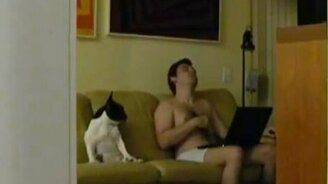 Бульдог танцует хип-хоп - смотреть видео (0:58)