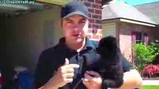 Писающий щенок - смотреть видео (0:56)