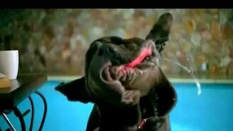 Вот это щёки! - смотреть видео (0:30)