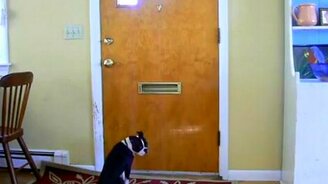 Борьба со спамом - смотреть видео (0:45)