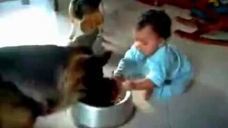 Поделись миской - смотреть видео (1:25)