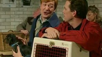 У ветеринарчика - смотреть видео (3:47)