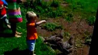 Цапнула за палец - смотреть видео (0:29)