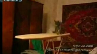 Наэлектризованный котёнок - смотреть видео (0:12)