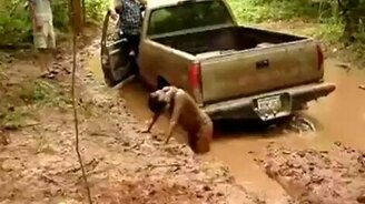 Упала в грязь - смотреть видео (0:33)