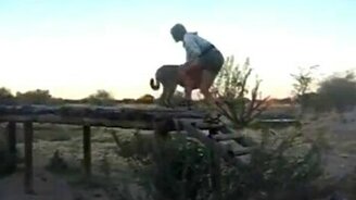 Девушка и гепард - смотреть видео (0:35)