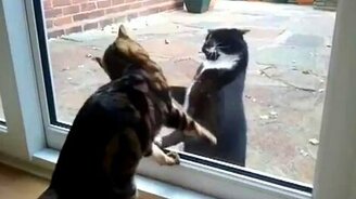 Игра за стеклом - смотреть видео (3:33)