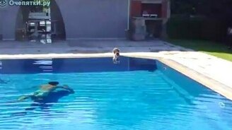 Напугал кота - смотреть видео (0:18)