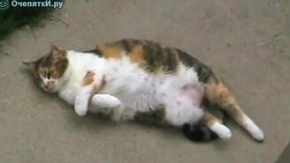 Сделай что-нибудь - смотреть видео (0:12)