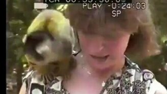 Обезьяна на плече женщины - смотреть видео (0:47)