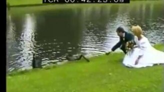 Атаковал невесту - смотреть видео (0:28)