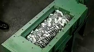 Полезный измельчитель - смотреть видео (5:03)