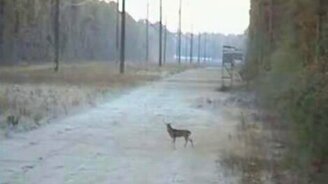 Худший охотник - смотреть видео (0:27)