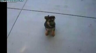 Взросление за 40 секунд - смотреть видео (0:44)