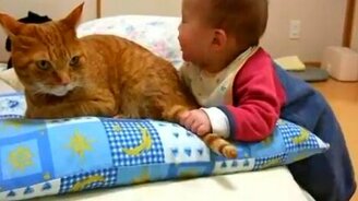 Ребёнок изучает кота - смотреть видео (1:14)