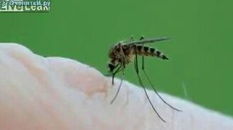 Хочется прибить? - смотреть видео (1:41)