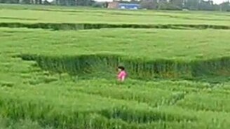 Знаки инопланетян - смотреть видео (1:43)