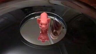 Зеркальная иллюзия - смотреть видео (0:38)