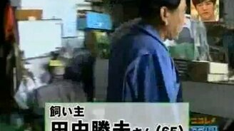 Улыбка собаки - смотреть видео (1:47)