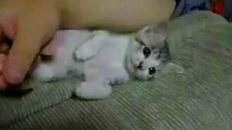 Заснул вдруг - смотреть видео (0:32)