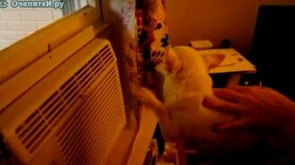 Плывёт в воздухе - смотреть видео (0:53)