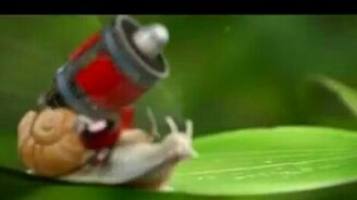 Внезапная улитка - смотреть видео (0:22)