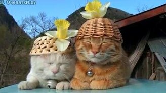 Релаксация в шляпах - смотреть видео (0:34)