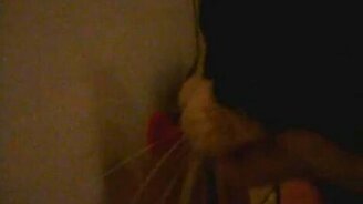 Кот и присоска - смотреть видео (0:46)