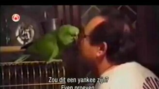 Смешное семейное видео 6 - смотреть видео (9:59)