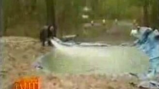 Розыгрыш с ямой - смотреть видео (1:34)