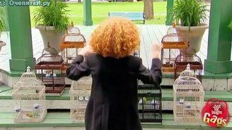 Птичий дирижёр - смотреть видео (1:41)