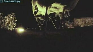 Чайка украла камеру - смотреть видео (1:41)