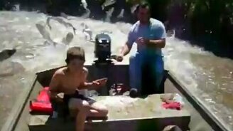 Карпы атакуют! - смотреть видео (1:13)