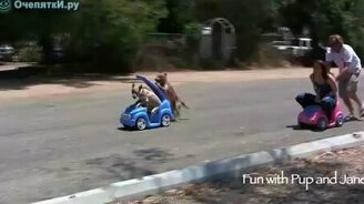 Кто вперёд? - смотреть видео (0:08)