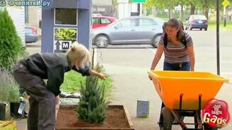 Скоростная ёлка - смотреть видео (1:20)