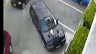 Согнали кошку с капота - смотреть видео (0:11)