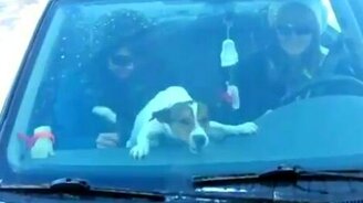 Дворники-дразнилки - смотреть видео (1:02)