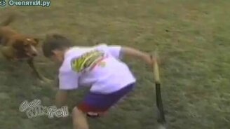 Пёс-бейсболист - смотреть видео (0:32)