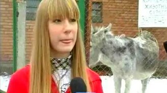 Ослик зашёлся - смотреть видео (0:32)