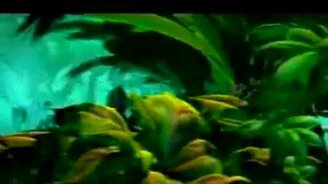 Мульт про аборигенов - смотреть видео (4:51)