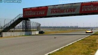 Самая везучая! - смотреть видео (0:23)